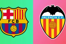 01jjf6cg9sckfq3vs2ct