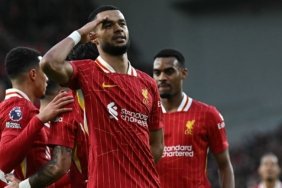 01jjvwsmmpvbjkxxnq5c