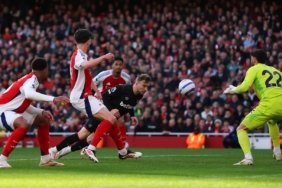 01jmq8kpwf31q4e9m6wg