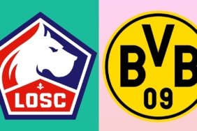 01jp3ex2m2ypt9mzr51v