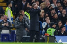 Ange Postecoglou turned to the Tottenham fans in the away end after Pape Sarr thought he had scored